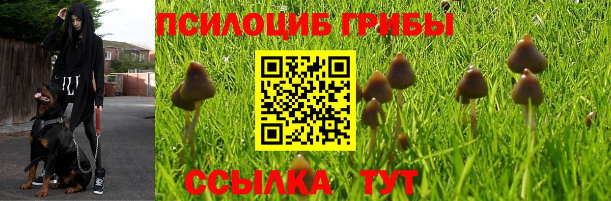 Белорецк  Галлюциногенные грибы ЛСД  Галлюциногенные грибы MAGIC MUSHROOMS  Вход с VPN 